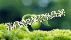 百度历年算法整理-百度算法回顾