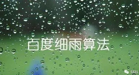 对于百度细雨算法,做seo的你知道多少?