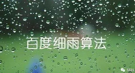 对于百度细雨算法，做seo的你知道多少？